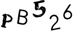 Beeld-CAPTCHA